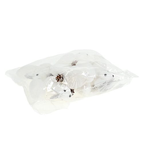 Floristik24 Décorations pour arbres de Noël écureuil blanc 7cm 6pcs