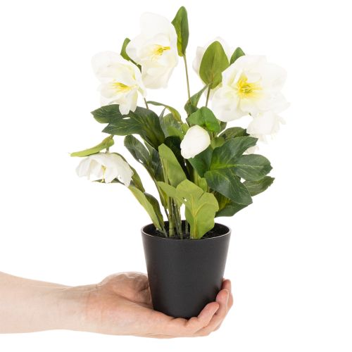 Rose de Noël artificielle, plante en pot, décoration de table, 34 cm | Floristik24.be