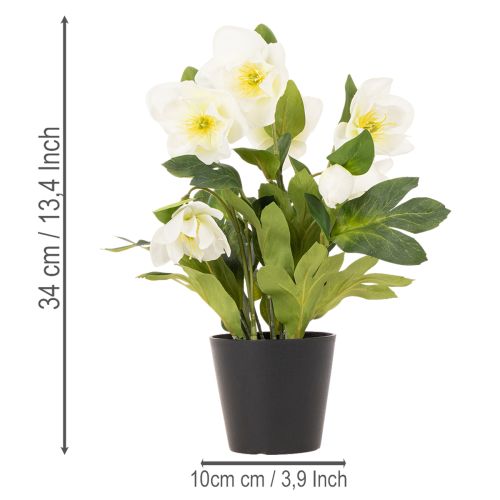 Rose de Noël artificielle, plante en pot, décoration de table, 34 cm | Floristik24.be