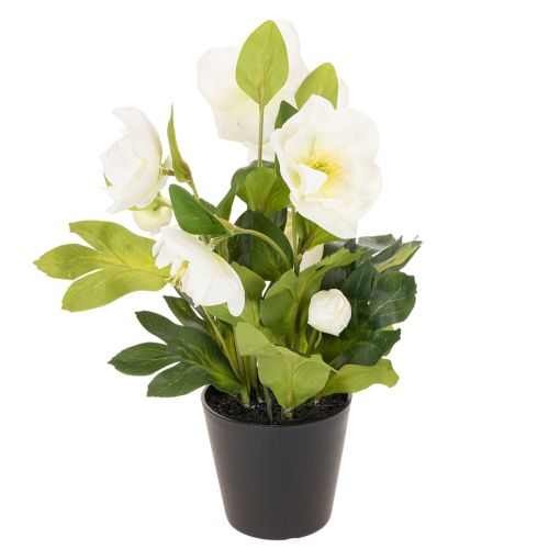 Rose de Noël artificielle, plante en pot, décoration de table, 34 cm | Floristik24.be
