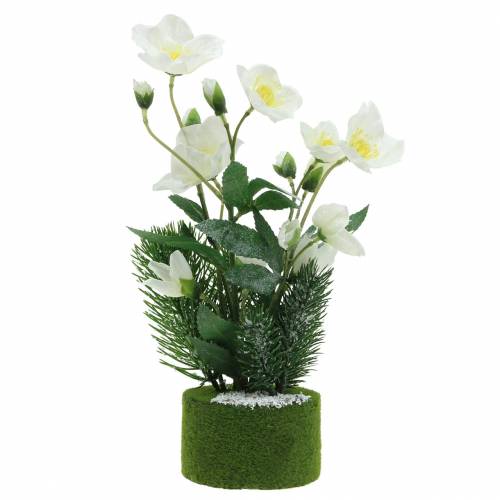 Floristik24 Rose de Noël avec sapin et boules de mousse enneigées artificiellement blanc 33cm