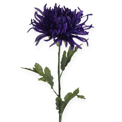Floristik24 Chrysanthème violet 74cm
