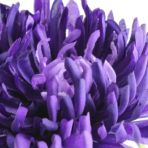 Article Chrysanthème violet 74cm