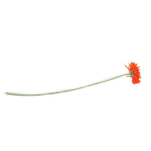 Floristik24 Teddy Chrysanthème 63cm Orange