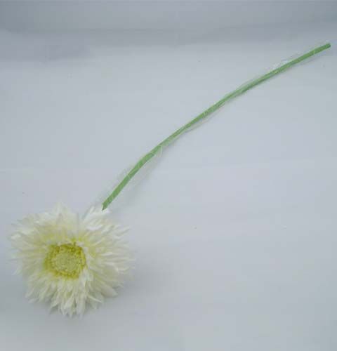Article Chrysanthème Teddy 63 cm blanc