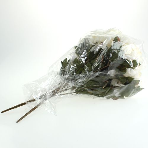 Floristik24 Piquet de chrysanthèmes crème 57 cm 2 p.