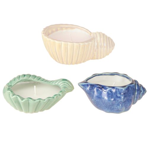 Floristik24 Bougie citronnelle Bougeoir céramique coquillage Extérieur 3pcs