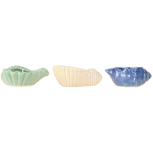 Article Bougie citronnelle Bougeoir céramique coquillage Extérieur 3pcs