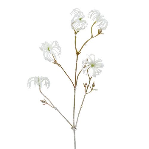 Floristik24 Branche de clématite blanche floquée 62cm 3pcs