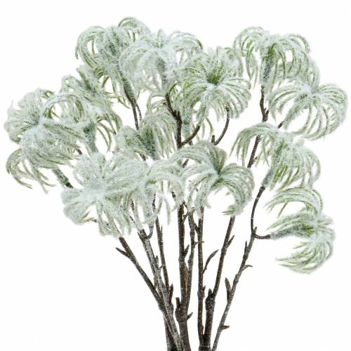 Clématite verte avec neige 43cm 3 pcs