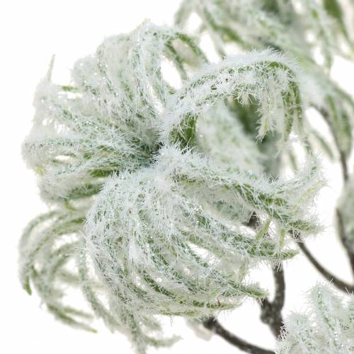 Article Clématite verte avec neige 43cm 3 pcs