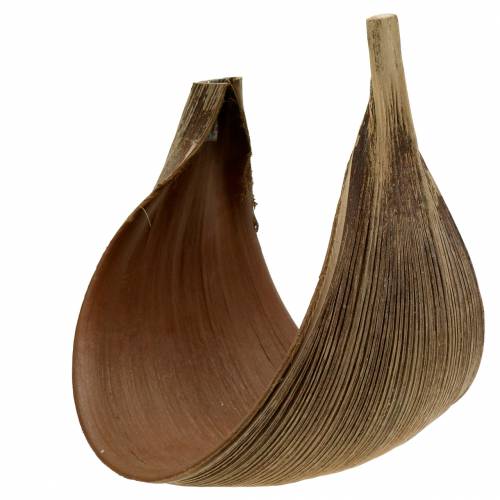 Article Feuille de cocotier Galara incurvée