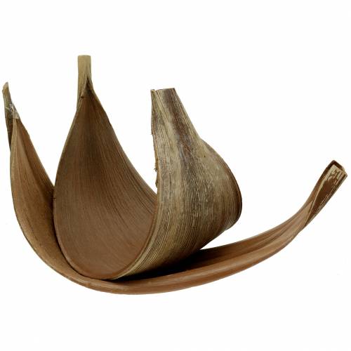 Article Feuille de cocotier Galara incurvée