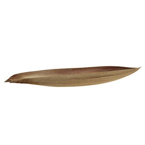Floristik24 Feuille de palmier coco 60 - 80 cm couleur naturelle