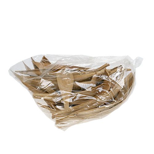Article Coquilles de noix de coco feuilles de noix de coco blanchies 25 pcs
