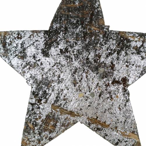 Floristik24 Coco étoile argent 5cm 50pcs décoration de table argent décoration de l'avent étoiles