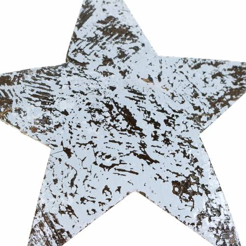 Article Étoile de noix de coco blanchie à la chaux 10cm 20 pcs
