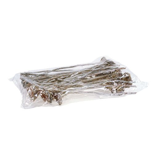 Floristik24 Coronata Rosette 25 pcs.