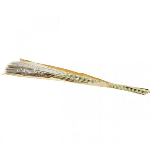 Article Herbes séchées Herbe de la pampa naturelle bouquet 80cm 100g