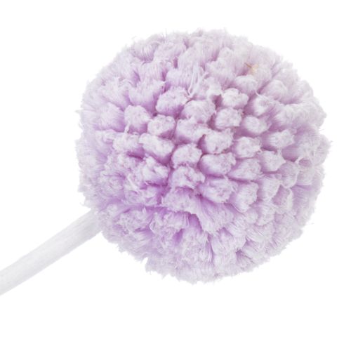 Article Craspedia séchées, 55 cm, lot de 20, pour une décoration de table moderne.