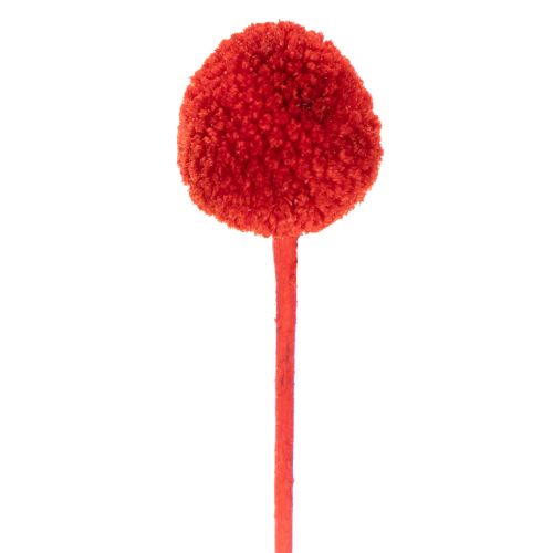 Fleurs de Craspedia séchées et teintées, à longues tiges, 55 cm, 20 pièces | Floristik24.be