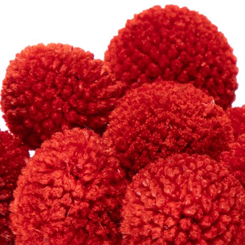 Fleurs de Craspedia séchées et teintées, à longues tiges, 55 cm, 20 pièces | Floristik24.be