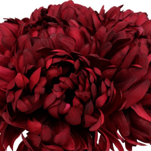 Floristik24 Bouquet Chrysanthème Bordeaux 28cm 6pcs