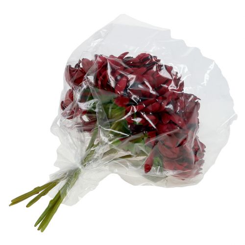 Floristik24 Bouquet Chrysanthème Bordeaux 28cm 6pcs
