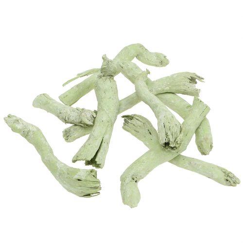 Floristik24 Racines de Cupy, Pepe Cone Vert Clair, Blanc Lavé 350g