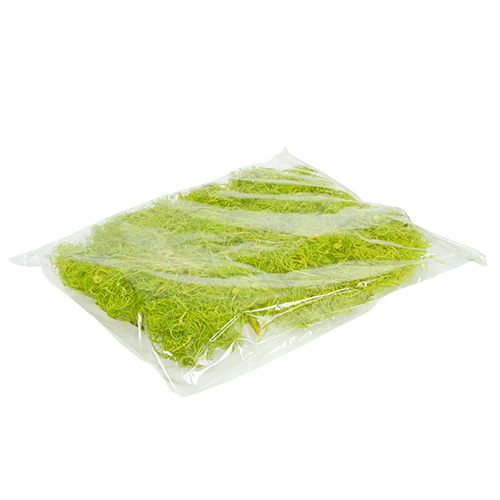 Floristik24 Mousse frisée vert clair 350g