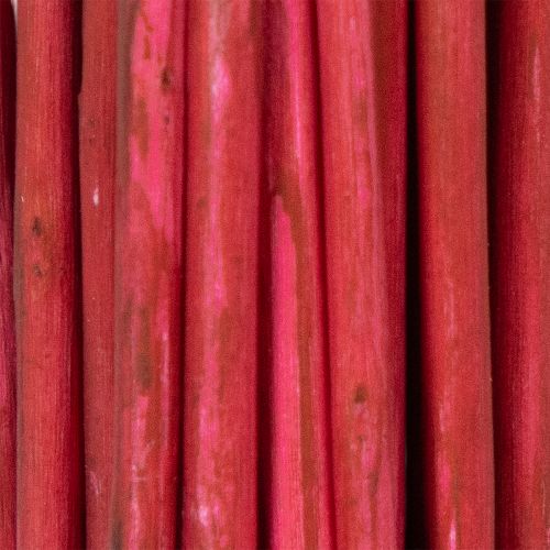 Article Branche décorative séchée de saule tortueux pour la création florale et la décoration intérieure, 80 cm, 70 g