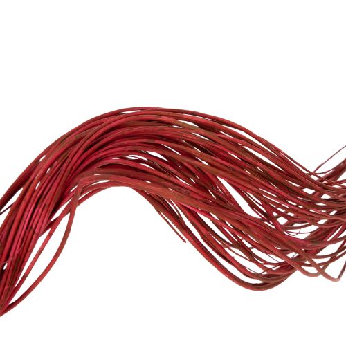 Article Branche décorative séchée de saule tortueux pour la création florale et la décoration intérieure, 80 cm, 70 g