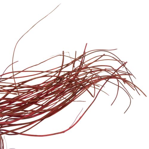 Article Branche décorative séchée de saule tortueux pour la création florale et la décoration intérieure, 80 cm, 70 g