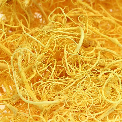 Floristik24 Mousse frisée jaune clair 350g