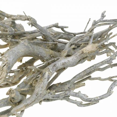 Floristik24 Branches décoratives Curry bush, décoration de Noël, Avent, décoration naturelle Doré, blanc lavé L25–30cm 500g