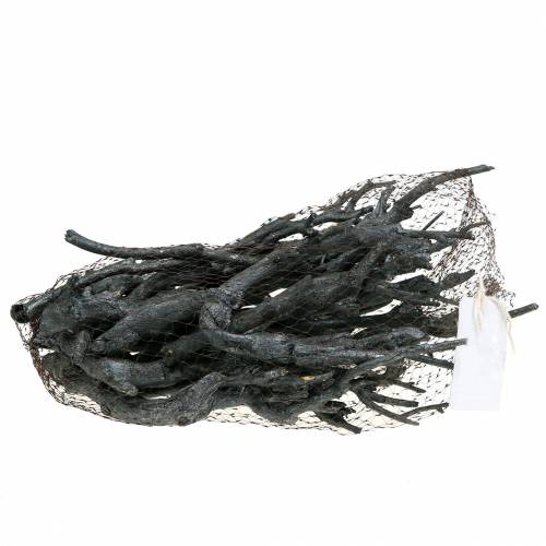 Article Déco Branche Currybusch Noir lavé 500g