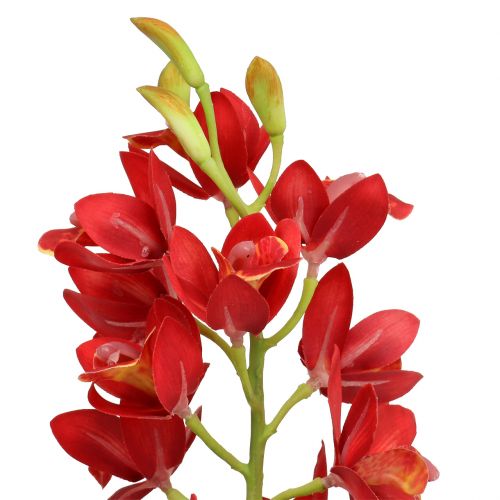 Article Orchidée Cymbidium rouge 78 cm