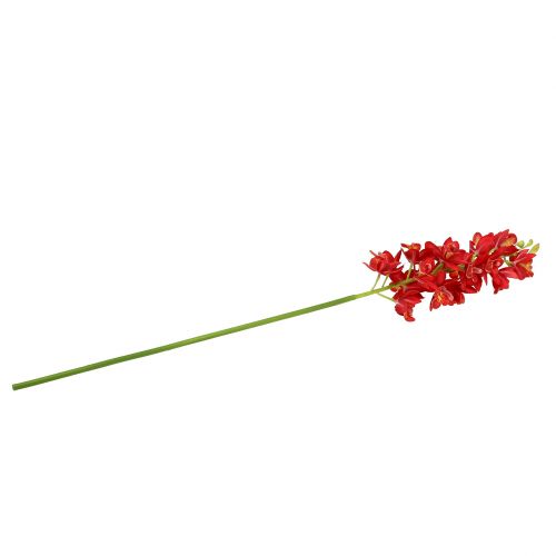 Article Orchidée Cymbidium rouge 78 cm