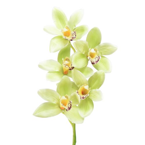 Floristik24 Orchidée cymbidium artificielle 5 fleurs verte 65cm