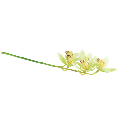 Article Orchidée cymbidium artificielle 5 fleurs verte 65cm