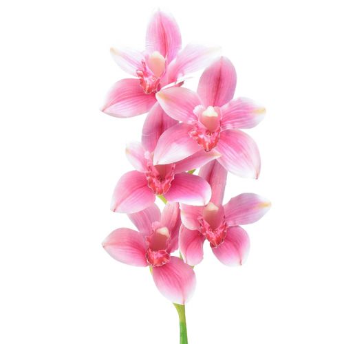 Floristik24 Orchidée Cymbidium artificielle 5 fleurs rose 65cm