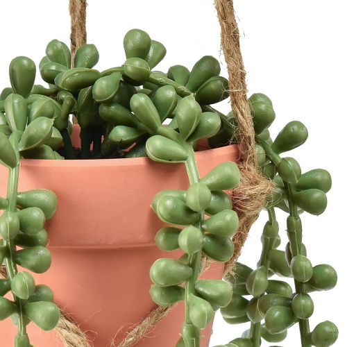 Article Plantes succulentes artificielles suspendues orpin serpent 34 cm