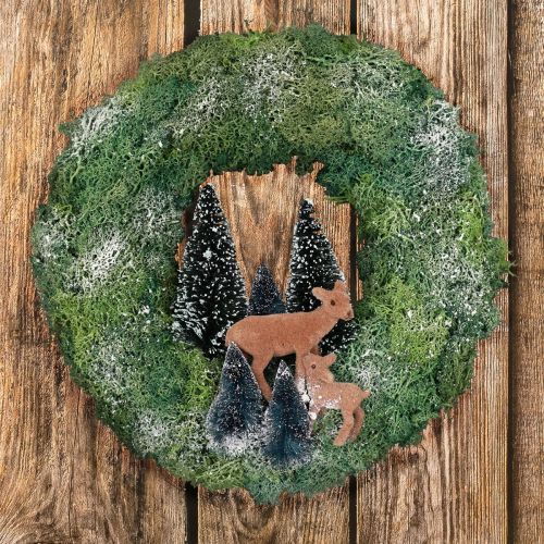 Floristik24 Coffret DIY couronne de mousse couronne de porte forêt d&#39;hiver Noël Ø34cm