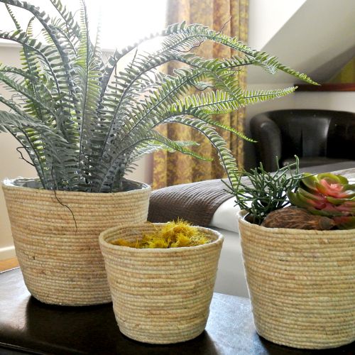 Article Panier à plantes rotin nature Ø26/22/16cm 3pcs