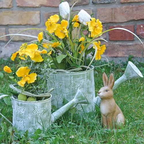 Floristik24 Jardinière arrosoir avec papillons Rose Ø10cm H10cm