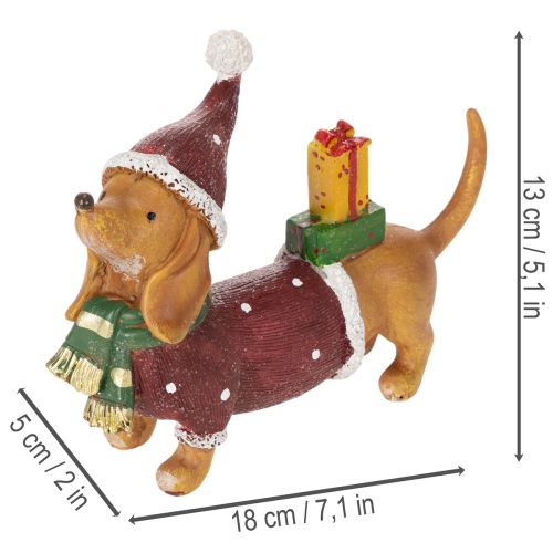 Figurine décorative de teckel avec emballage cadeau et chapeau, 18 cm | Floristik24.be