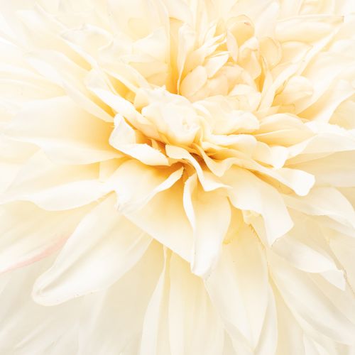 Dahlia artificiel pour vase 68 cm | Floristik24.be