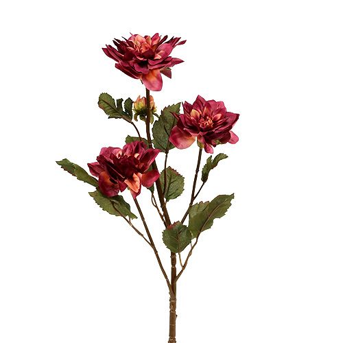 Floristik24 Dahlia erica Ø 10 cm L. 68 cm 3 p.