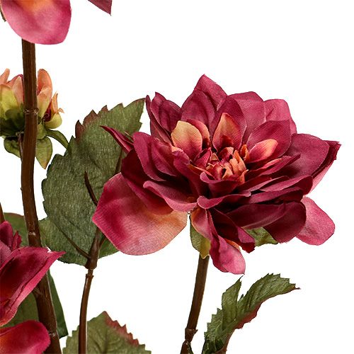 Floristik24 Dahlia erica Ø 10 cm L. 68 cm 3 p.