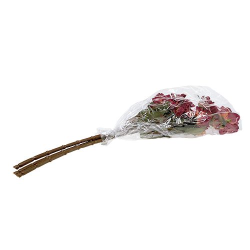 Floristik24 Dahlia erica Ø 10 cm L. 68 cm 3 p.